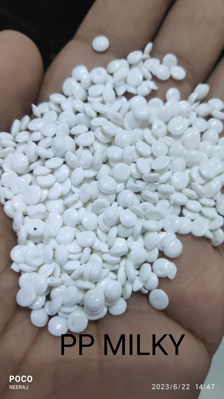PP Milky Gol recycled polypropylene granules, grade PP100ML