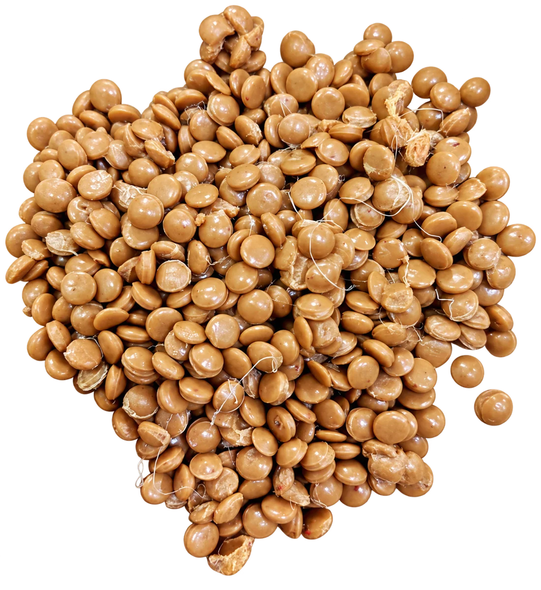 PP Tan — Sample 2 recycled polypropylene granules